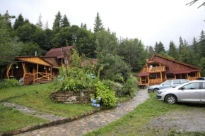 Zarinok
